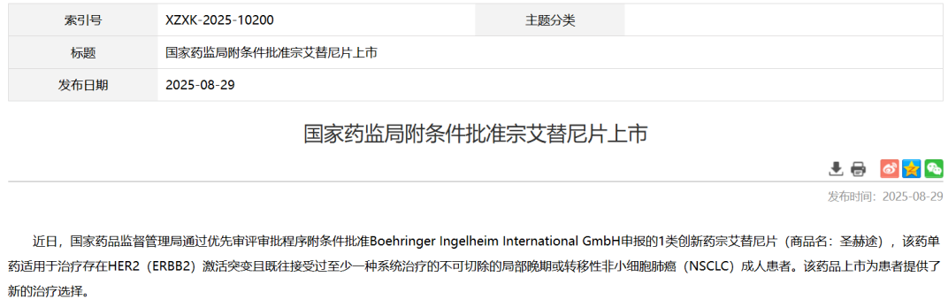 全球首款HER2靶向药宗艾替尼上市：为HER2突变NSCLC患者带来新希望