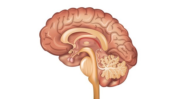 巨淋巴结增生症的病理特点
