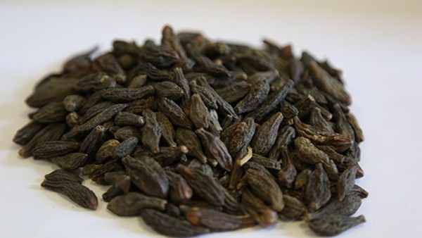 肾结石的手术费用