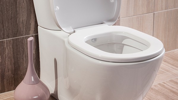 脊髓小脑变性共济失调的社交障碍