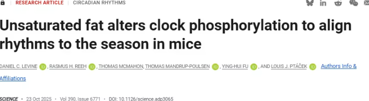 加工食品中的氢化脂肪或扰乱身体生物钟