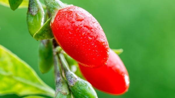 腹膜炎的常见误区