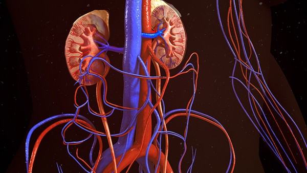 急性肾炎是否需要避免油腻食物