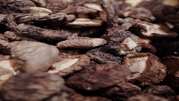 假性延髓麻痹是否会引发呼吸困难