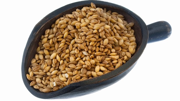 骨折后能跑步吗