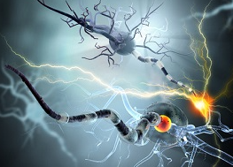 “世界职业扇耳光大赛”引热议：专家警示——重击头部可致严重脑损伤