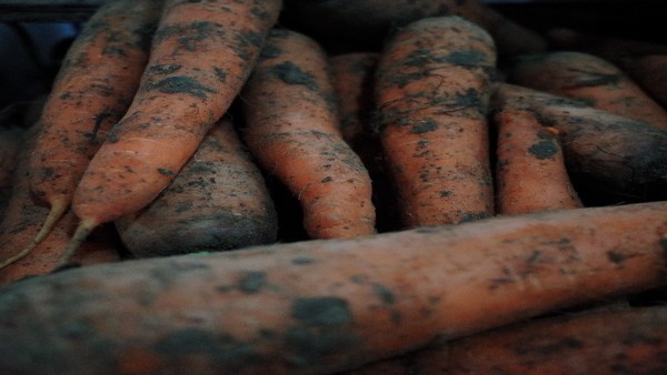 结膜炎如何通过改变生活习惯避免