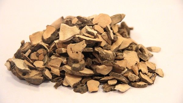 神经母细胞瘤的治疗进展