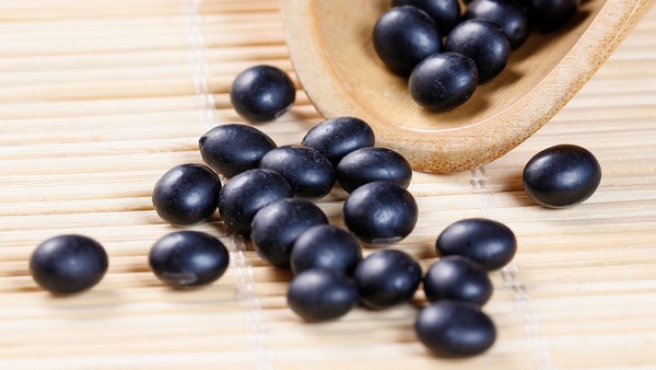 膝关节损伤后的运动恢复