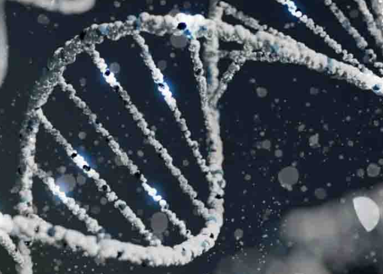 全球首个三特异性TCE获批，美国临床研究即将启动