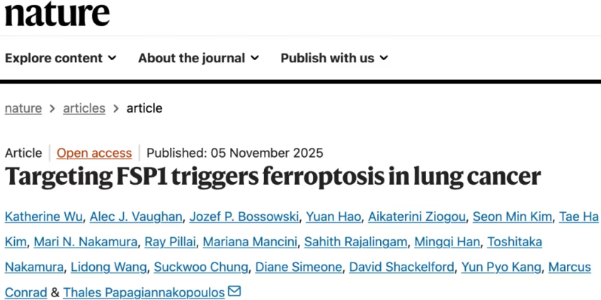 铁死亡：一种独特的细胞命运途径