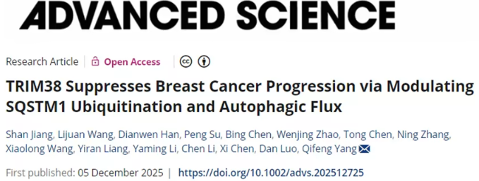 山东大学发现TRIM38可抑制乳腺癌进展