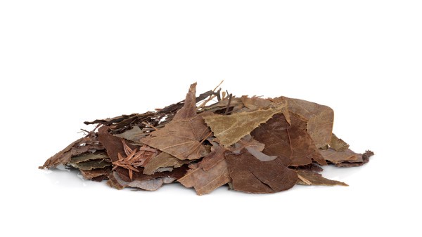 腹泻是否与饮食习惯有关