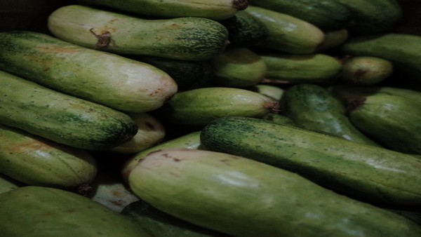 胸壁结核能完全治愈吗