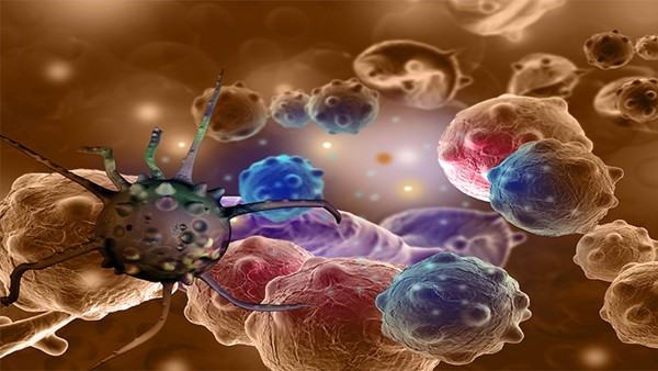 女性生殖器官结核的检查费用