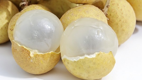IgA肾病患者的低盐饮食