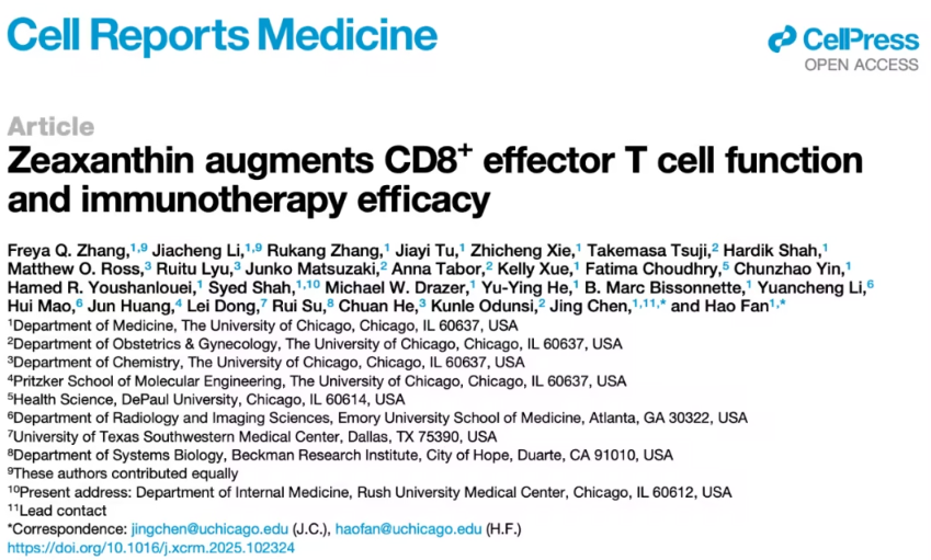 玉米黄素：提升免疫治疗潜力的膳食营养素