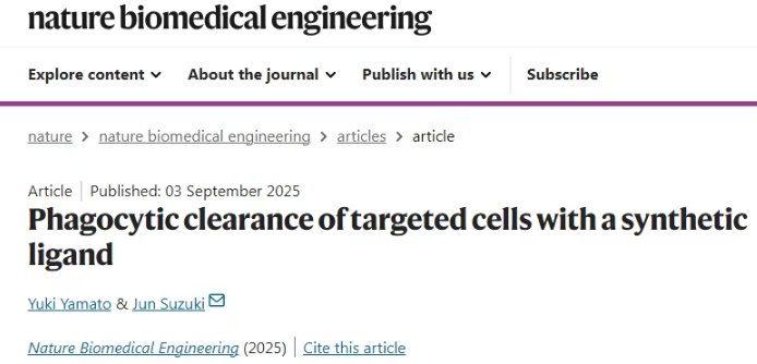 Crunch：革命性蛋白质工具助力癌症与自身免疫疾病治疗