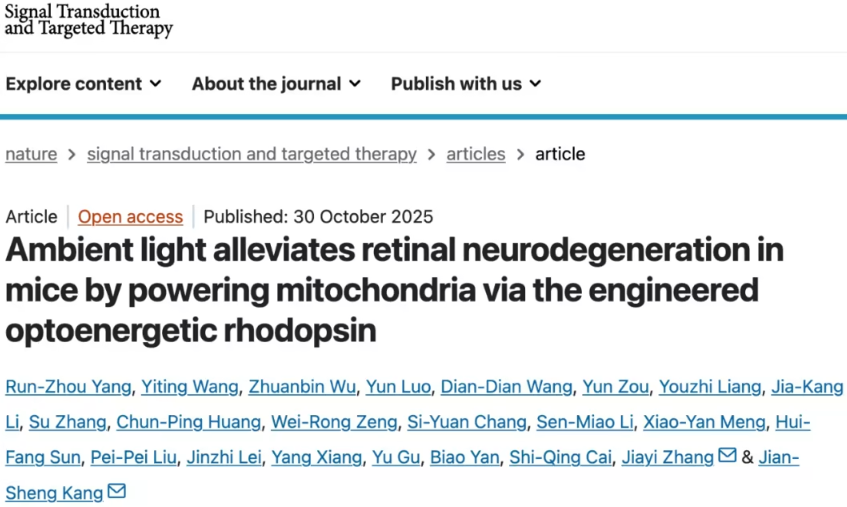 线粒体质子动力势失调与神经退行性疾病的关系