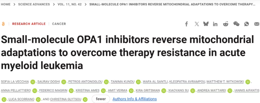 科学家揭示AML耐药新机制：靶向OPA1或成突破口